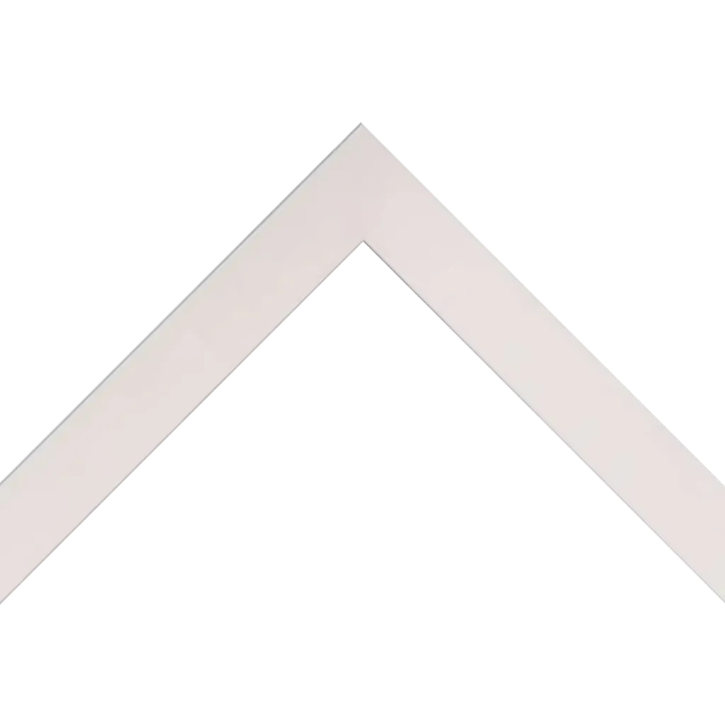 FN30-WHITE_13_1600x.webp