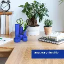 71kYQK4o-uL._AC_SL1500_.webp