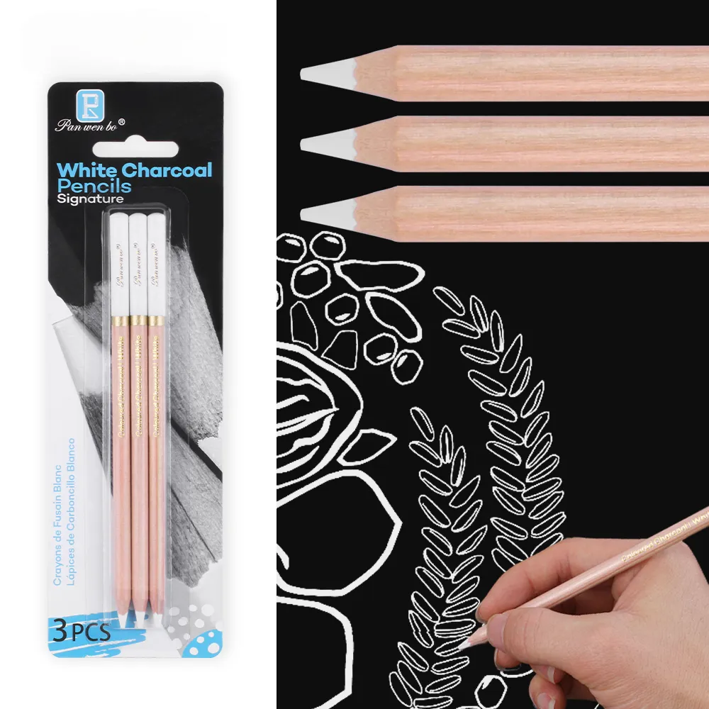 3pcs Premium White Charcoal Sketching Pencils Set